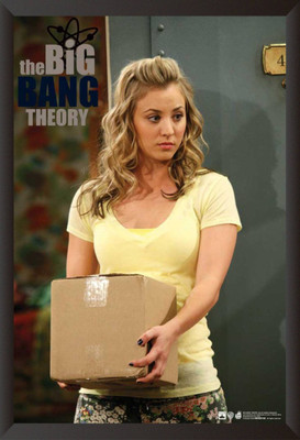 

Akhuratha The Big Bang Theory Fine Quality Wall Poster Paper Print(12 inch X 18 inch, Rolled)