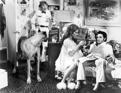 

Akhuratha Elvis Presley Fine Quality Wall Poster Paper Print(12 inch X 18 inch, Rolled)