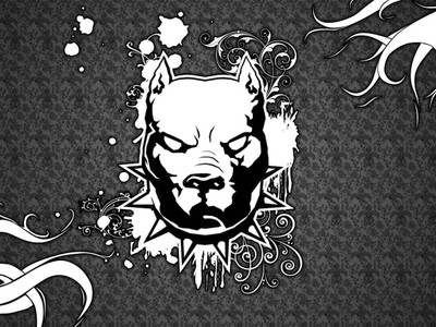 

Akhuratha Pitbull Fine Quality Wall Poster Paper Print(12 inch X 18 inch, Rolled)