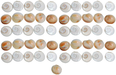 Saptraag Saptraag 51pc Gomati Chakra of 1 cm Stoneware Yantra(Pack of 51)