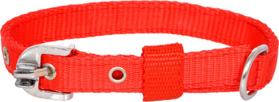 

Pride Infinite Dog Everyday Collar(, Red