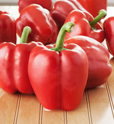Airex RED CAPSICUM SEED (PACK OF 30 SEED X 6 PER PKTS) 6 PACKET OF RED CAPSICUM Seed(180 per packet)