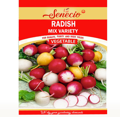 SENECIO® Radish Mix Variety Seed(150 per packet)