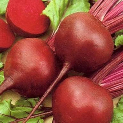 Airex BEET ROOT SEED (PACK OF 30 SEED X 8 PER PKTS) 8 PACKET OF BEET ROOT Seed(240 per packet)