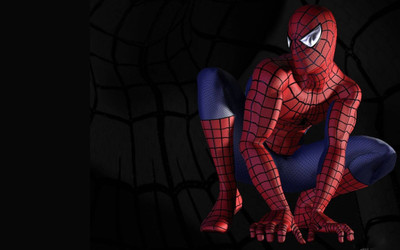 

Akhuratha Spiderman Fine Quality Wall Poster Paper Print(12 inch X 18 inch, Rolled)