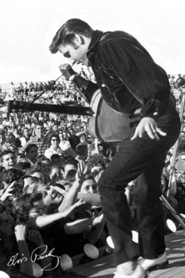 

Akhuratha Elvis Presley Fine Quality Wall Poster Paper Print(12 inch X 18 inch, Rolled)