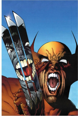 

Akhuratha Wolverine Vrs Hulk Fine Quality Wall Poster Paper Print(12 inch X 18 inch, Rolled)