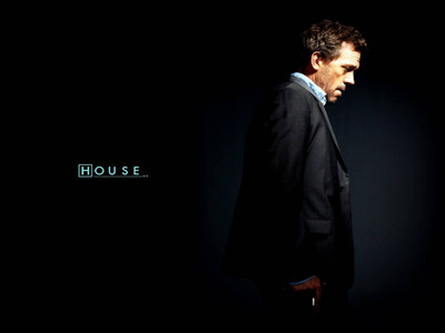 

Akhuratha Dr. House Fine Quality Wall Poster Paper Print(12 inch X 18 inch, Rolled)