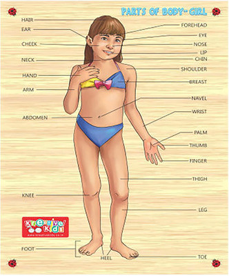 

Webby Premium Wooden Parts of Body Girl Educational Puzzle Toy(1 Pieces)