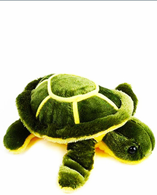 

PAYBEST Soft Toys Cute Green Turtle - 21 cm(Green)