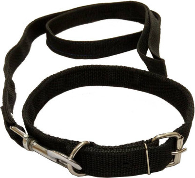 

Dare Above All Dog Collar & Leash(, Black