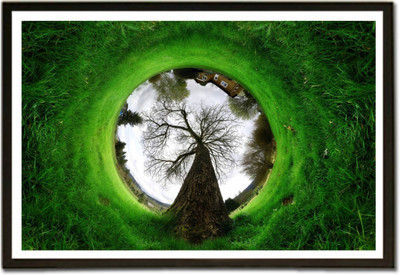 

Akhuratha Super Natural Fine Quality Wall Poster Paper Print(12 inch X 18 inch, Rolled)