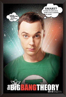 

Akhuratha The Big Bang Theory Fine Quality Wall Poster Paper Print(12 inch X 18 inch, Rolled)