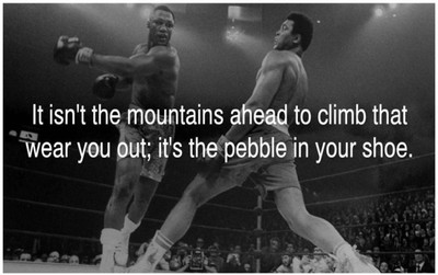 

Aabhaas Muhammad Ali Wall Poster Fine Art Print(12 inch X 18 inch, Rolled)