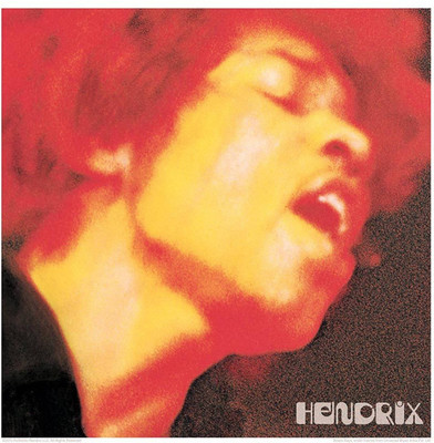 

Akhuratha Jimi Hendrix Fine Quality Wall Poster Paper Print(12 inch X 18 inch, Rolled)