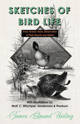 Sketches of Bird Life - From Twenty Years Observation of Their Haunts and Habits - With Illustrations by Wolf, C. Whymper, Keulemans, and Thorburn(English, Paperback, Harting James Edmund)