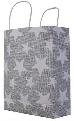 

WAMA RETAILS Printed Party Bag(Multicolor, Pack of 12)
