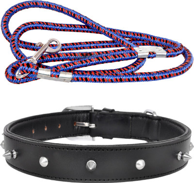 

Pride Infinite Dog Collar & Leash(, Black