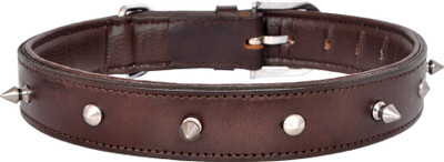 

Pride Infinite Dog Everyday Collar(, Brown