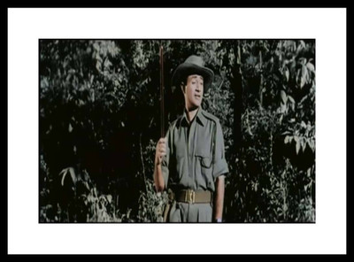 Aabhaas Dev Anand Wall Poster Fine Art Print(12 inch X 18 inch, Rolled)