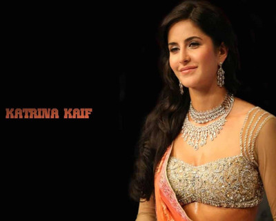 

Aabhaas Katrina kaif Wall Poster Fine Art Print(12 inch X 18 inch, Rolled)