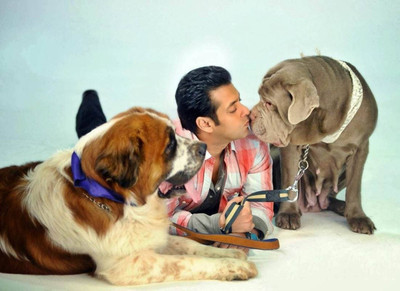

Aabhaas Salman Khan Wall Poster Fine Art Print(12 inch X 18 inch, Rolled)