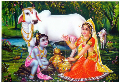 

Aabhaas Krishna Wall Poster Fine Art Print(12 inch X 18 inch, Rolled)
