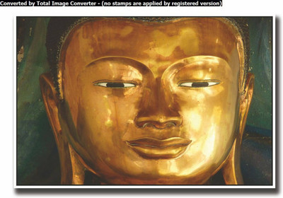

Aabhaas Buddha Wall Poster Fine Art Print(12 inch X 18 inch, Rolled)