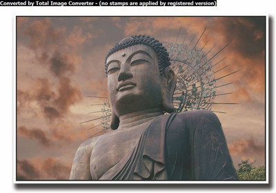 

Aabhaas Buddha Wall Poster Fine Art Print(12 inch X 18 inch, Rolled)