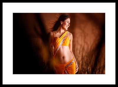 

Aabhaas Kareena Kapoor Wall Poster Fine Art Print(12 inch X 18 inch, Rolled)