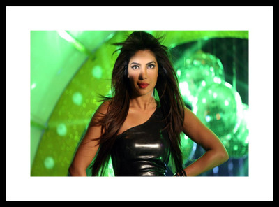 

Aabhaas Priyanka Chopra Wall Poster Fine Art Print(12 inch X 18 inch, Rolled)