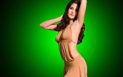 

Aabhaas Katrina kaif Wall Poster Fine Art Print(12 inch X 18 inch, Rolled)
