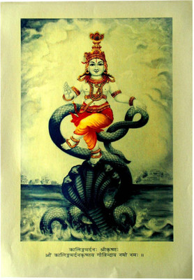 Aabhaas Krishna Wall Poster Fine Art Print(12 inch X 18 inch, Rolled)
