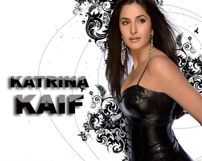 

Aabhaas Katrina kaif Wall Poster Fine Art Print(12 inch X 18 inch, Rolled)