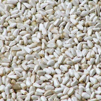 

Parrots Wizard Safflower Seeds/Kardi Seed for Wild Birds 1 kg Dry Bird Food