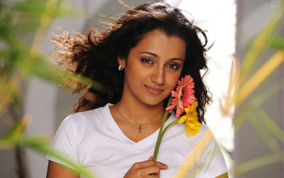 

Aabhaas Trisha Krishnan Wall Poster Fine Art Print(12 inch X 18 inch, Rolled)