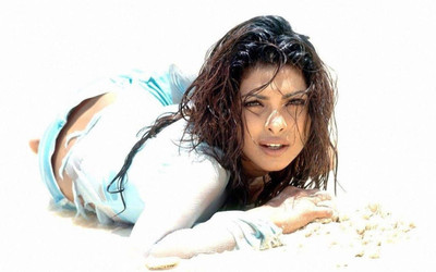 

Aabhaas Priyanka Chopra Wall Poster Fine Art Print(12 inch X 18 inch, Rolled)