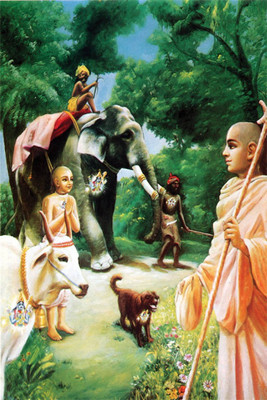 

Aabhaas Krishna Wall Poster Fine Art Print(12 inch X 18 inch, Rolled)