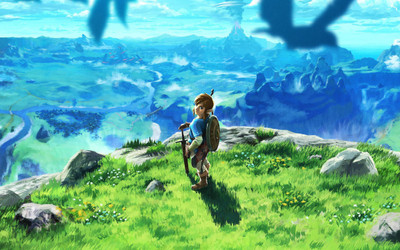 

Akhuratha Legend of Zelda Fine Quality Wall Poster Paper Print(12 inch X 18 inch, Rolled)
