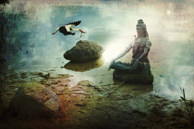 

Aabhaas Shiva Wall Poster Fine Art Print(12 inch X 18 inch, Rolled)