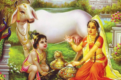 

Aabhaas Krishna Wall Poster Fine Art Print(12 inch X 18 inch, Rolled)