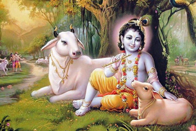 

Aabhaas Krishna Wall Poster Fine Art Print(12 inch X 18 inch, Rolled)