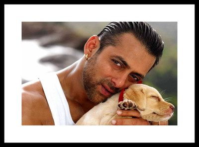 

Aabhaas Salman Khan Wall Poster Fine Art Print(12 inch X 18 inch, Rolled)