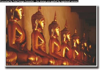 

Aabhaas Buddha Wall Poster Fine Art Print(12 inch X 18 inch, Rolled)
