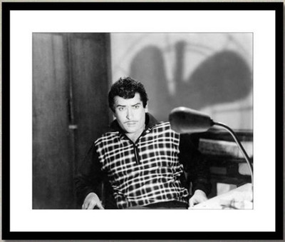 

Aabhaas Shammi Kapoor Wall Poster Fine Art Print(12 inch X 18 inch, Rolled)