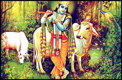 

Aabhaas Radha Krishna Wall Poster Fine Art Print(12 inch X 18 inch, Rolled)