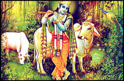 

Aabhaas Radha Krishna Wall Poster Fine Art Print(12 inch X 18 inch, Rolled)