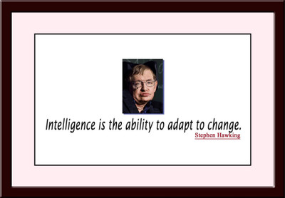 

Aabhaas Stephen Hawking Wall Poster Fine Art Print(12 inch X 18 inch, Rolled)