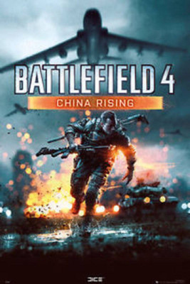 

Akhuratha Battlefield 4 Fine Quality Wall Poster Paper Print(12 inch X 18 inch, Rolled)