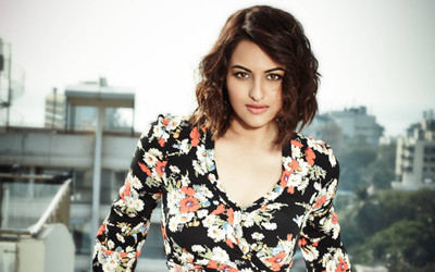 

Aabhaas Sonakshi Sinha Wall Poster Fine Art Print(12 inch X 18 inch, Rolled)